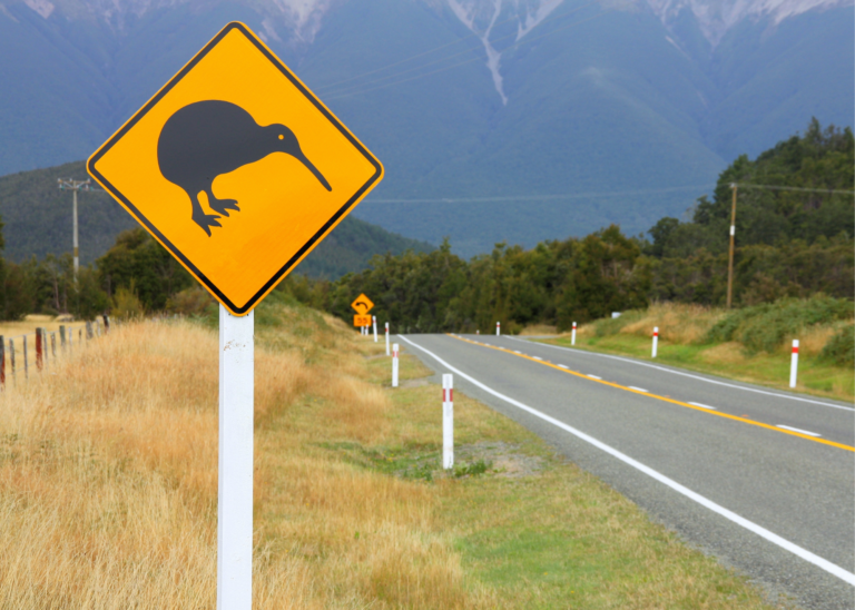 NZ